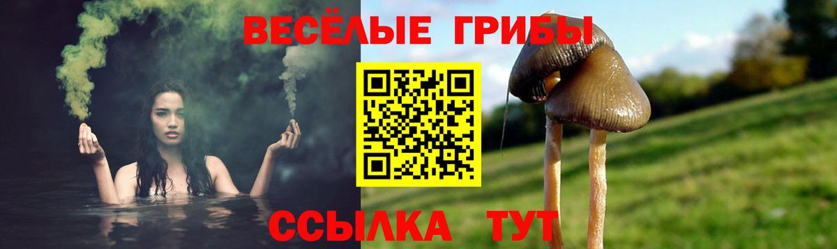 Псилоцибиновые грибы прущие грибы Лангепас